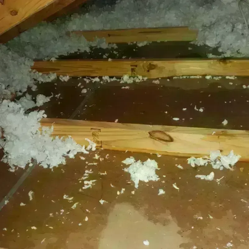 Attic Water Damage in Medford, MA